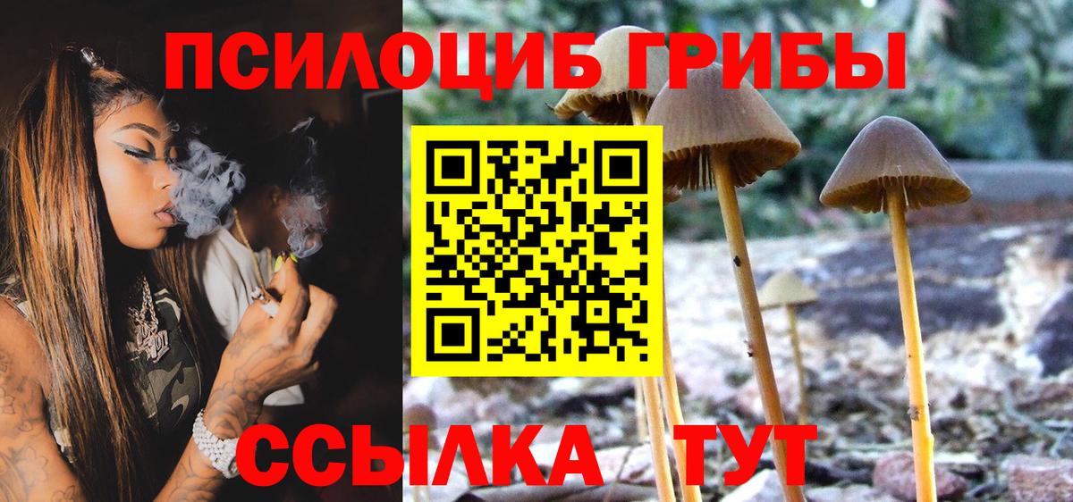 Галлюциногенные грибы ЛСД  Вход с VPN  Шатура 